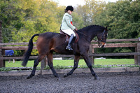 Hall Place Equestrian Centre Autumn Novice Showing Show 23-10-22