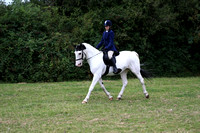 Ring 2 PM In Hand/Ridden Showing
