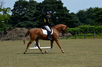 Dressage 12pm to 1pm