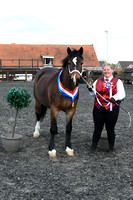 Hall Place Equestrian Centre Easter Showing Show 18-04-22